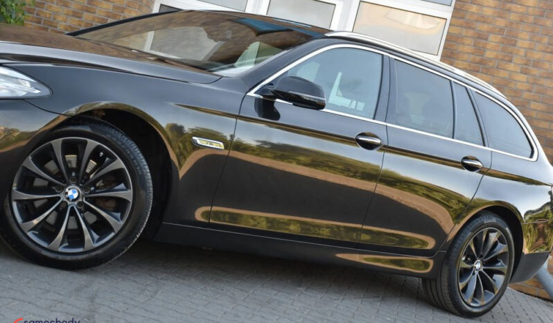 BMW Seria 5 518d Luxury Line full
