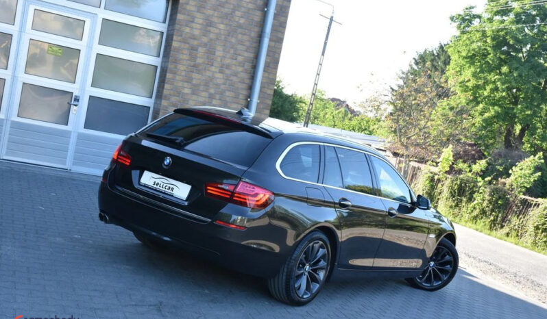 BMW Seria 5 518d Luxury Line full