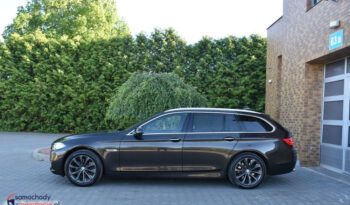 BMW Seria 5 518d Luxury Line full